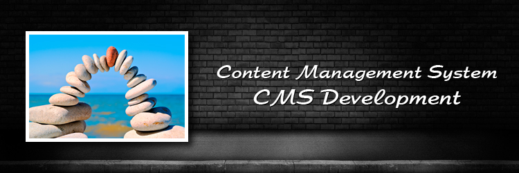 CMS Development CMS Development